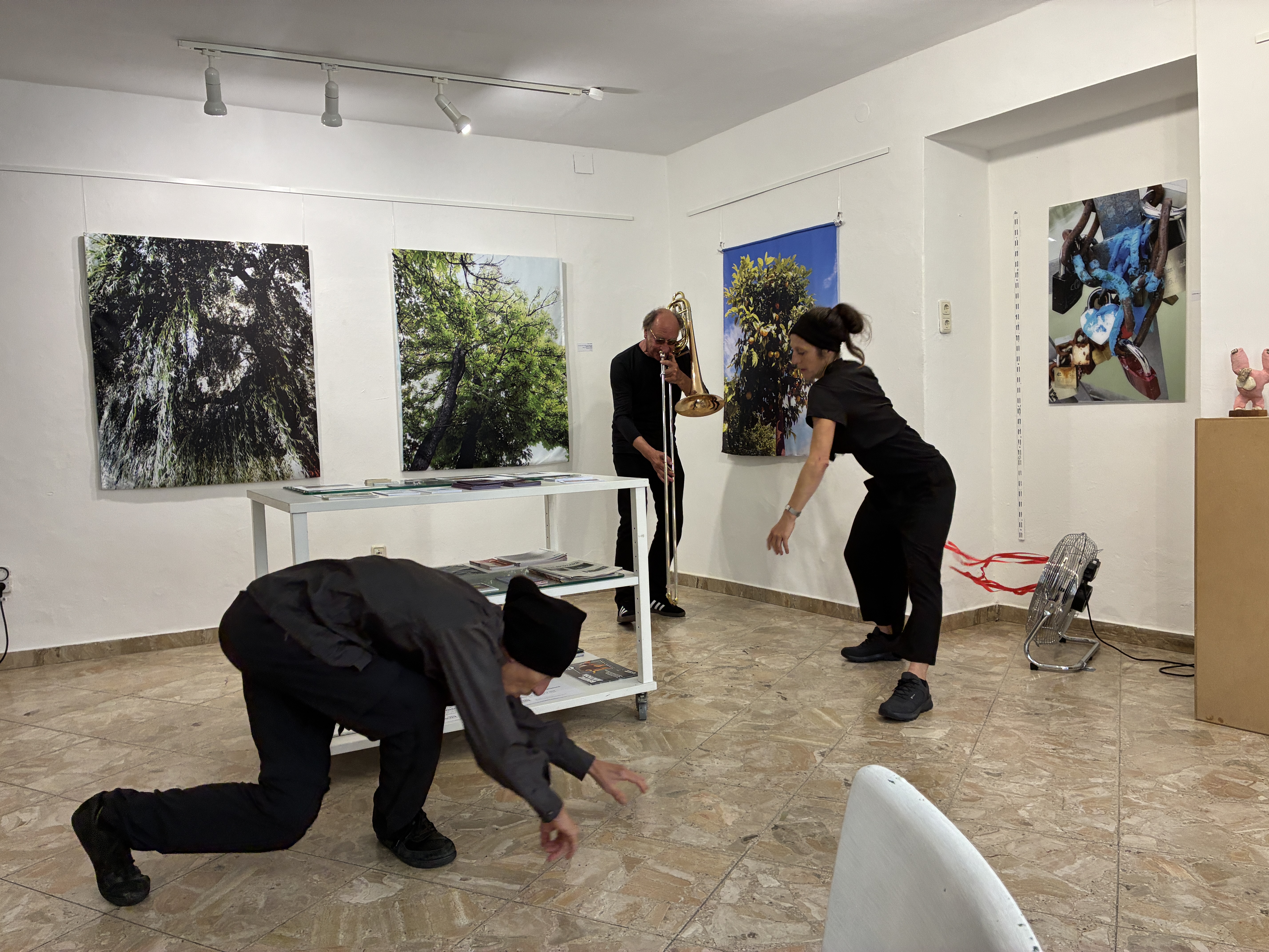 Bild